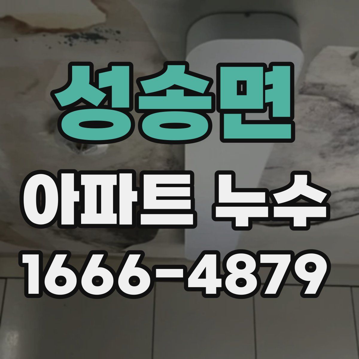 성송면 아파트 누수