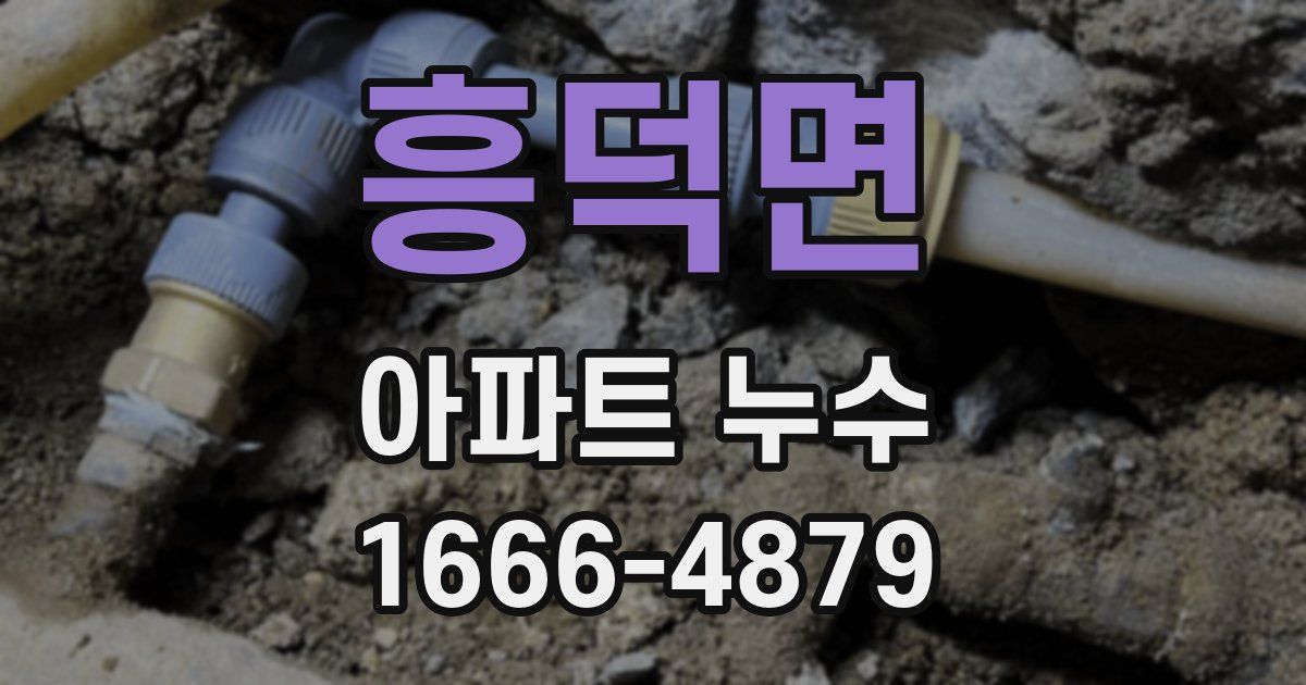 흥덕면 아파트 누수