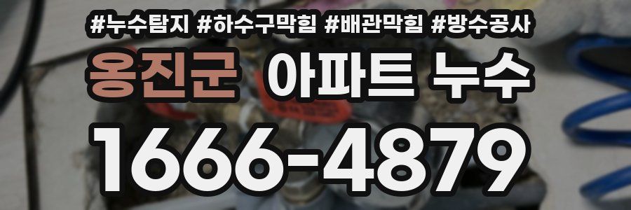 옹진군 아파트 누수