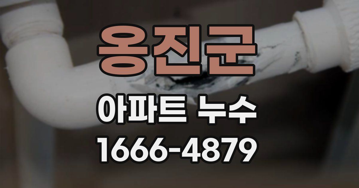 옹진군 아파트 누수