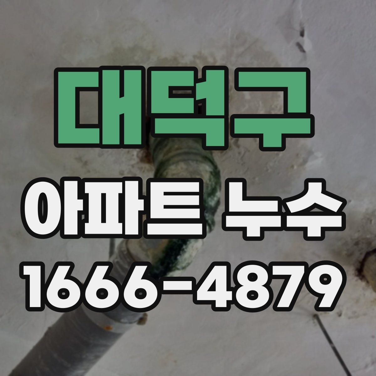 대덕구 아파트 누수