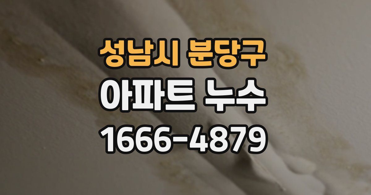 성남시 분당구 아파트 누수
