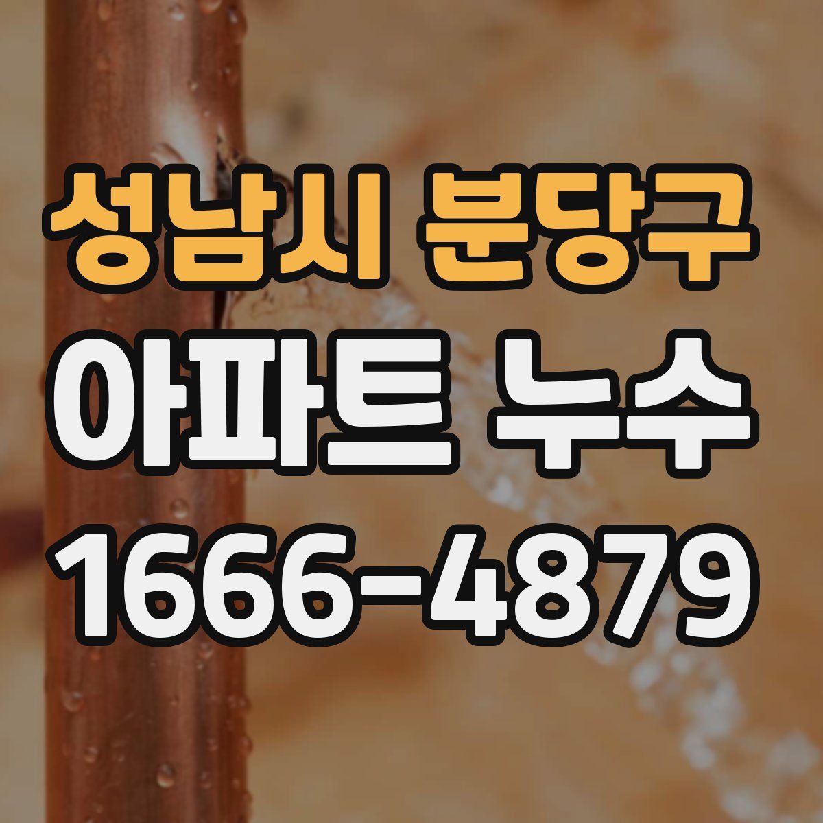 성남시 분당구 아파트 누수