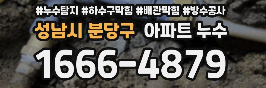 성남시 분당구 아파트 누수