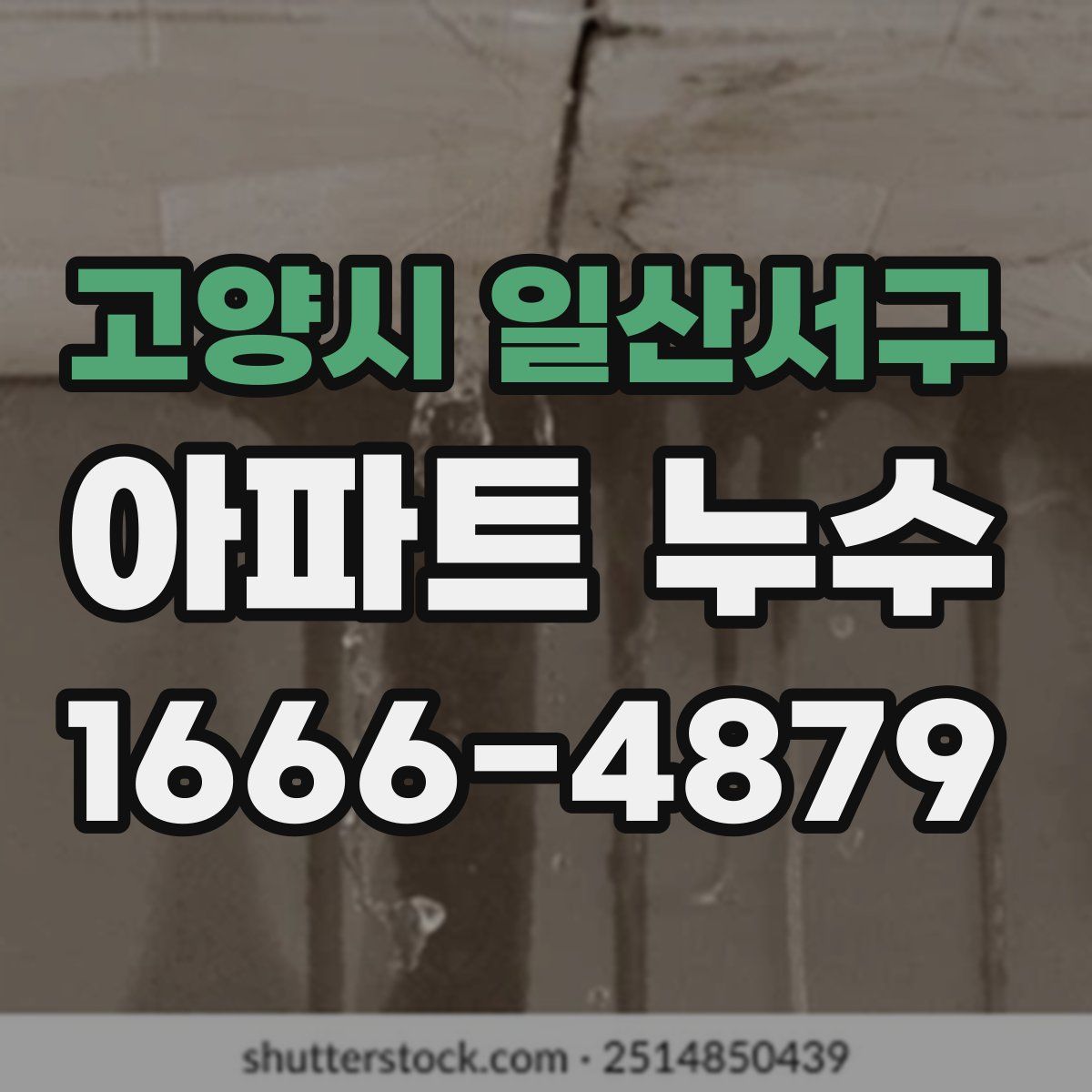 고양시 일산서구 아파트 누수