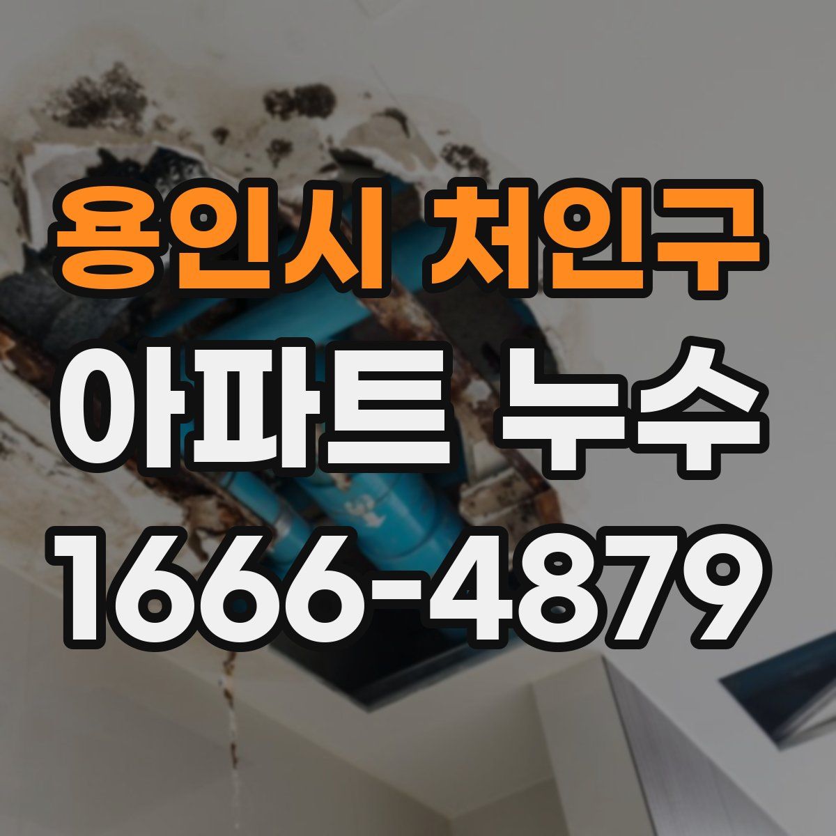 용인시 처인구 아파트 누수