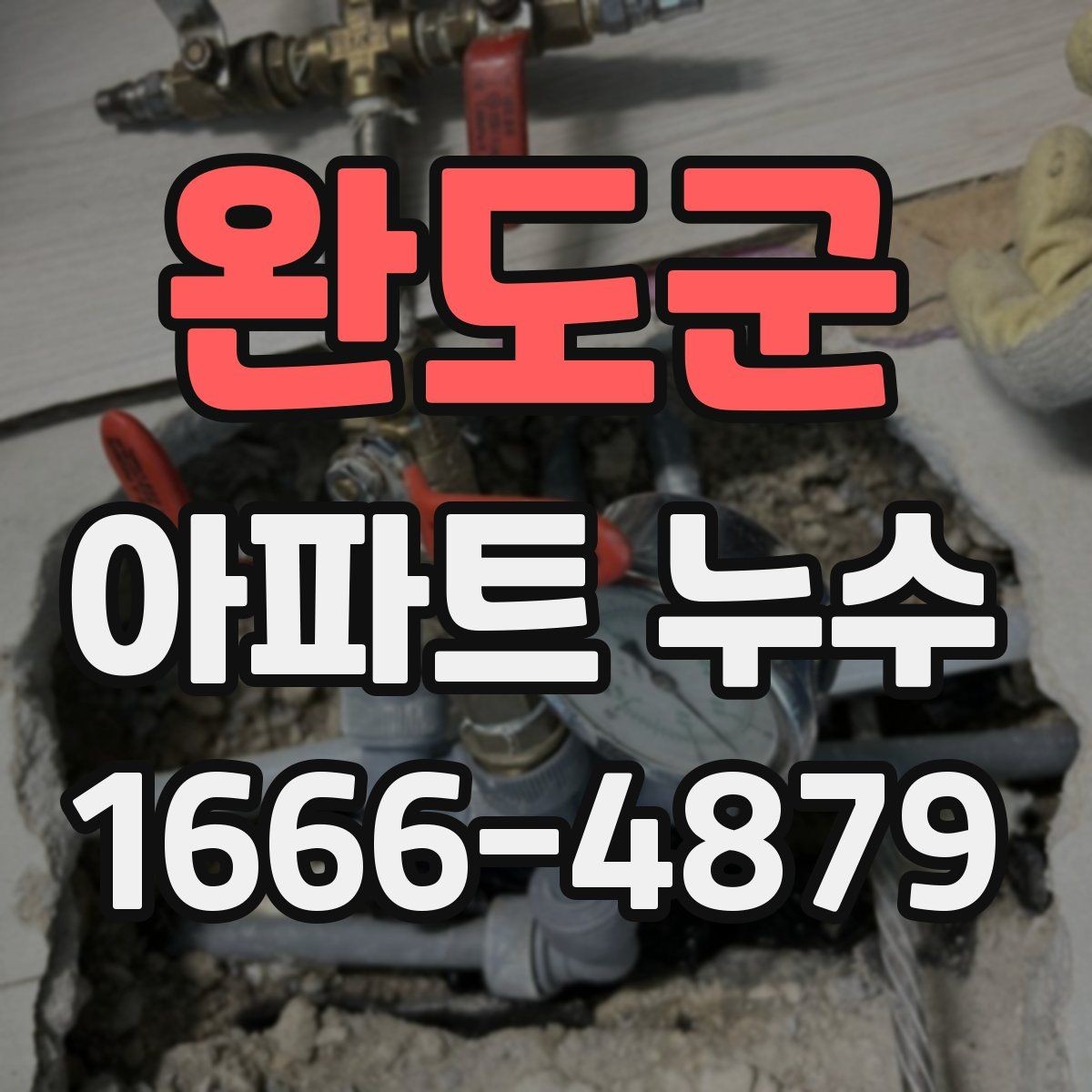 완도군 아파트 누수 세대 내부 결함과 외부 유입 구분