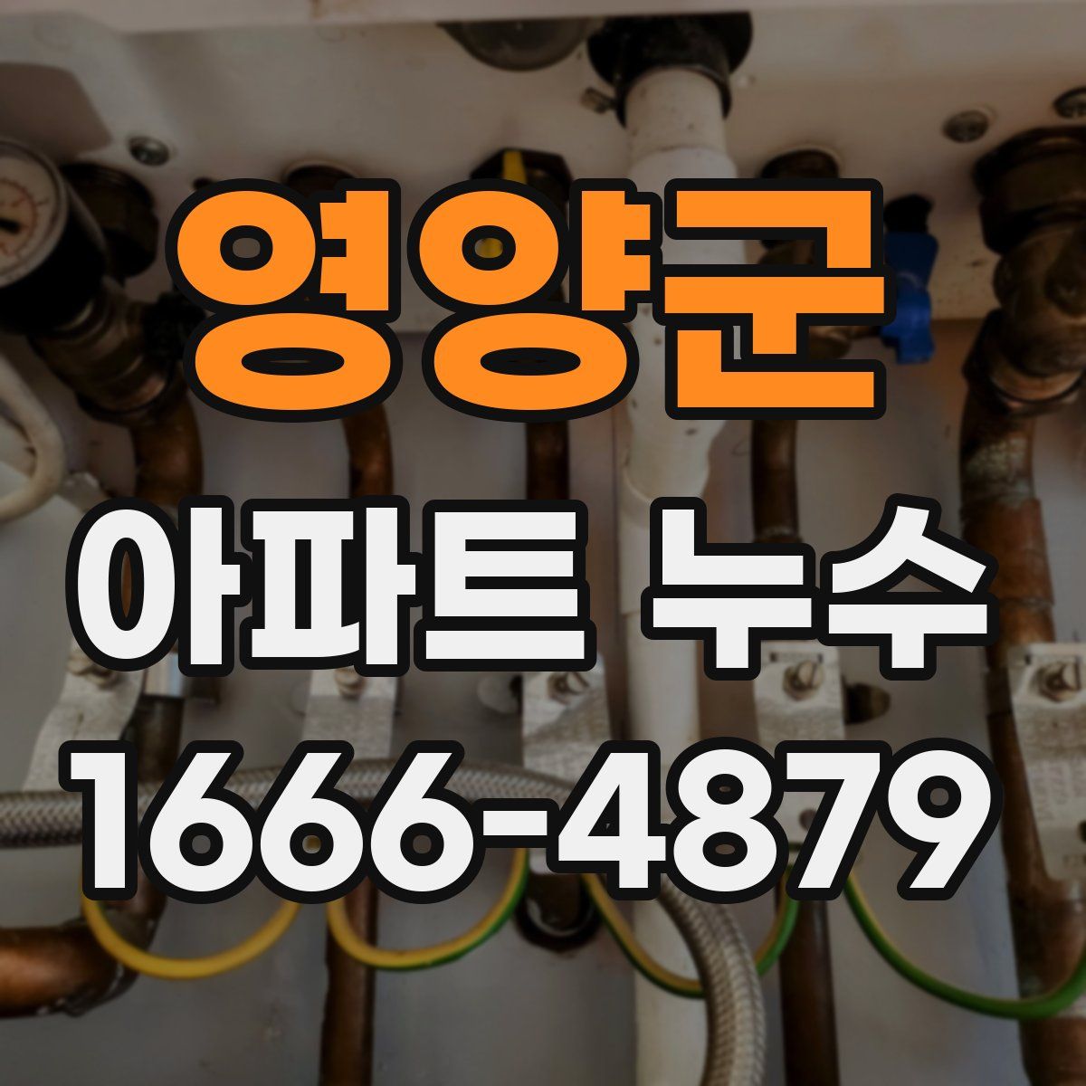 영양군 아파트 누수