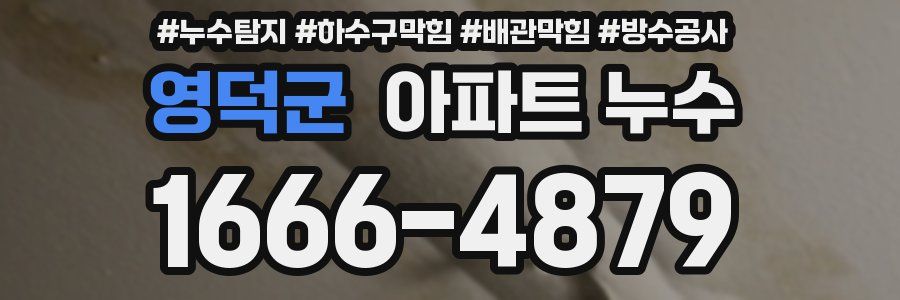 영덕군 아파트 누수