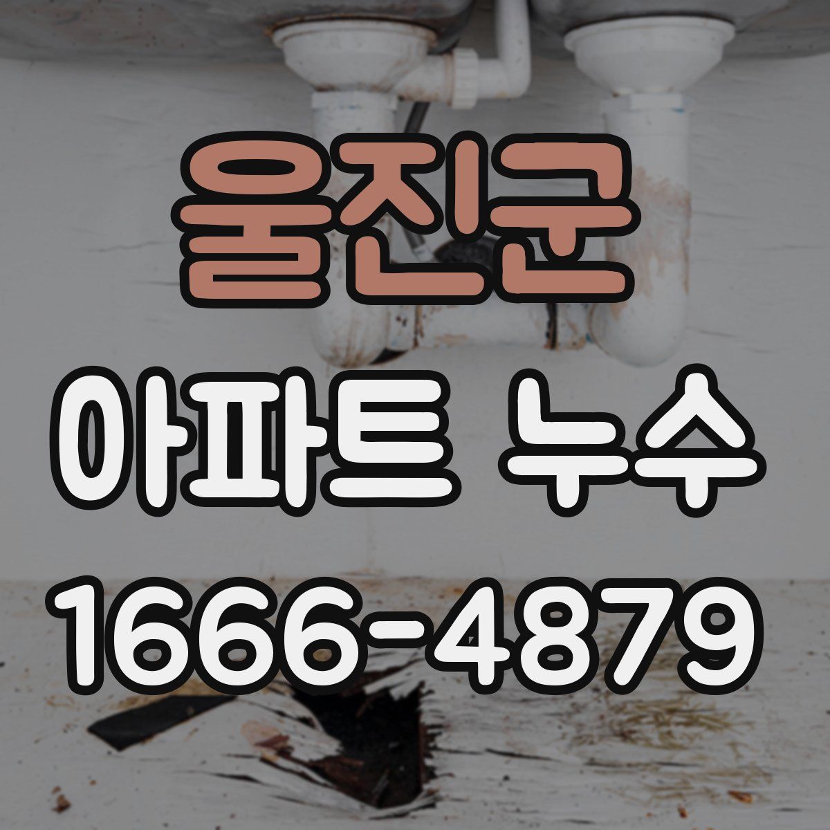 울진군 아파트 누수