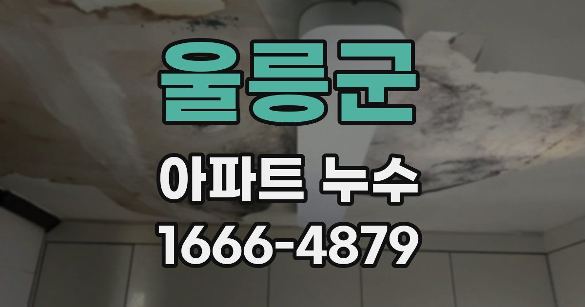 울릉군 아파트 누수
