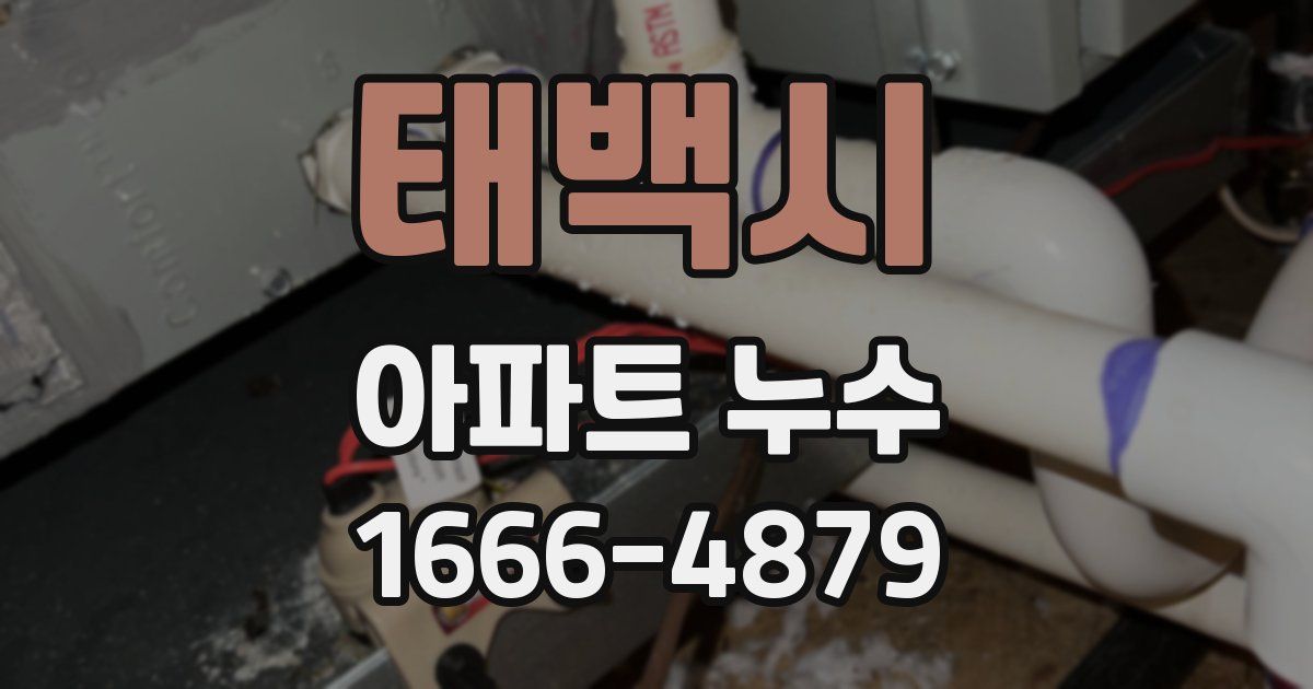 태백시 아파트 누수