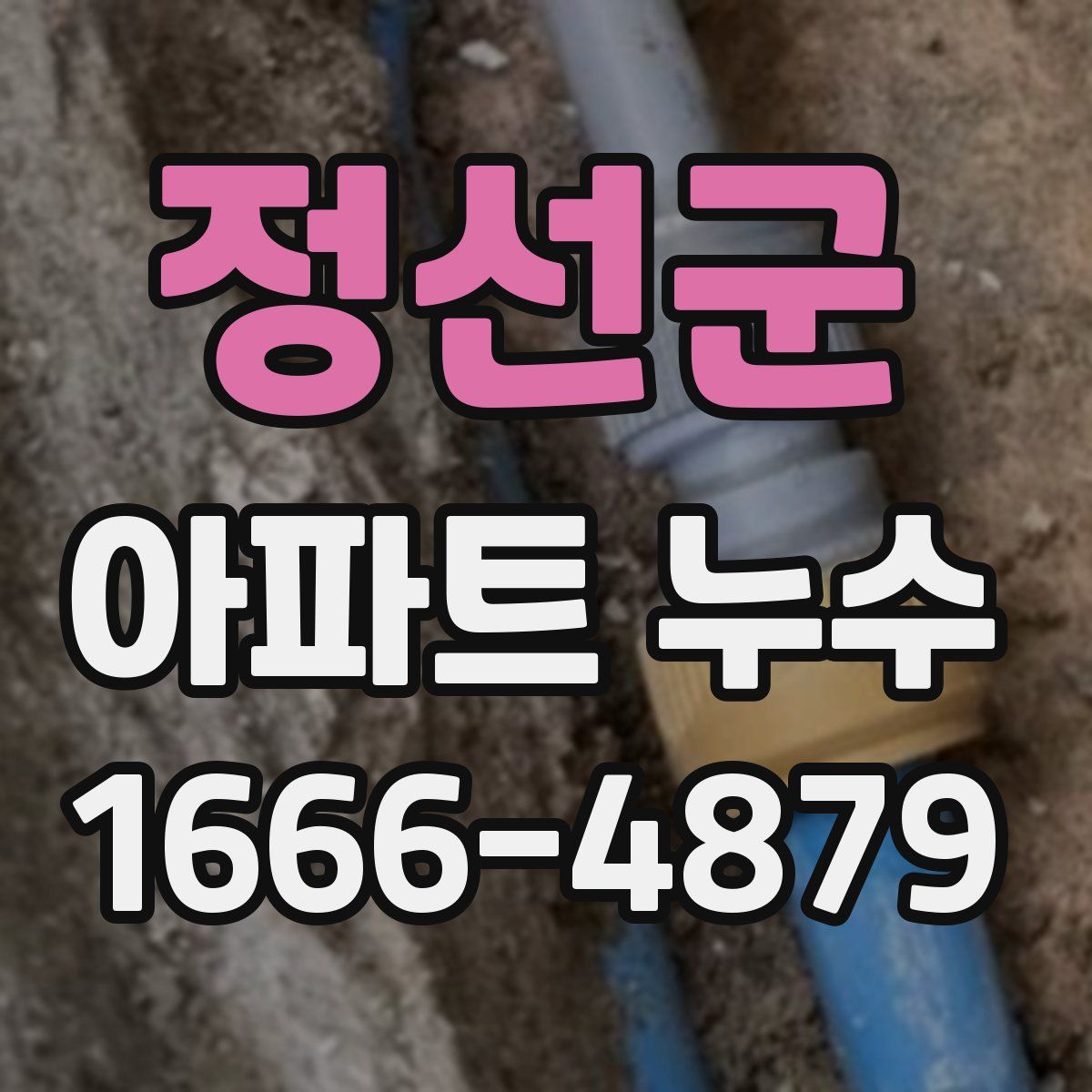 정선군 아파트 누수
