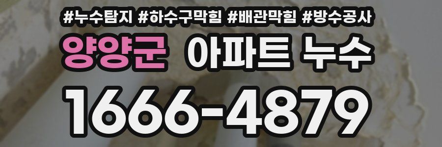 양양군 아파트 누수