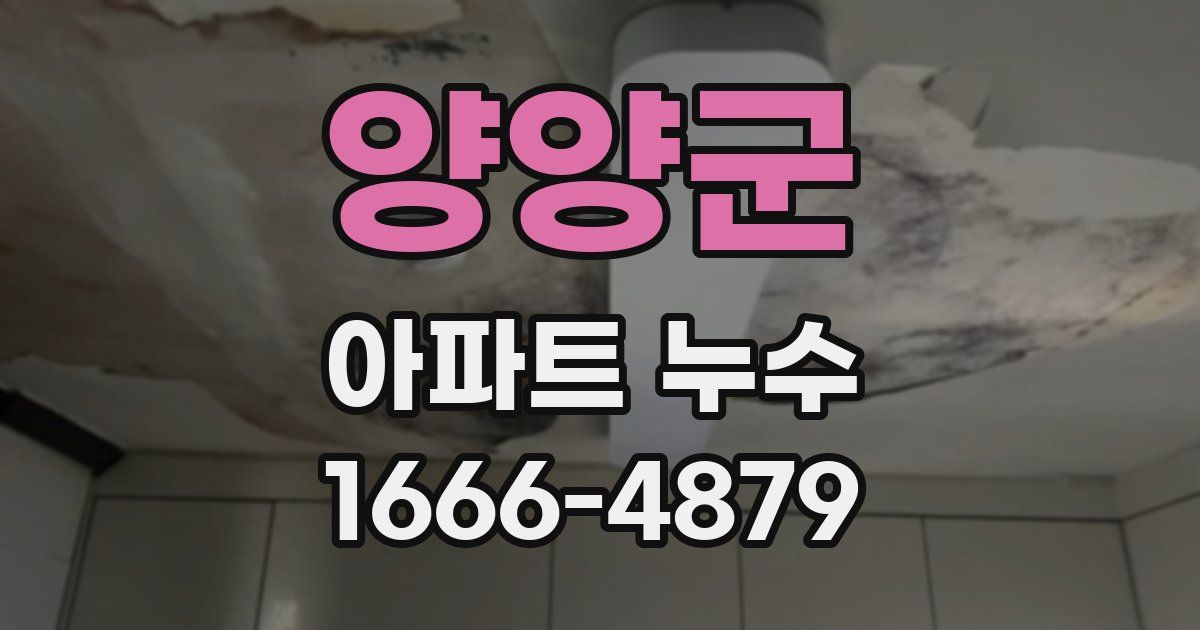 양양군 아파트 누수