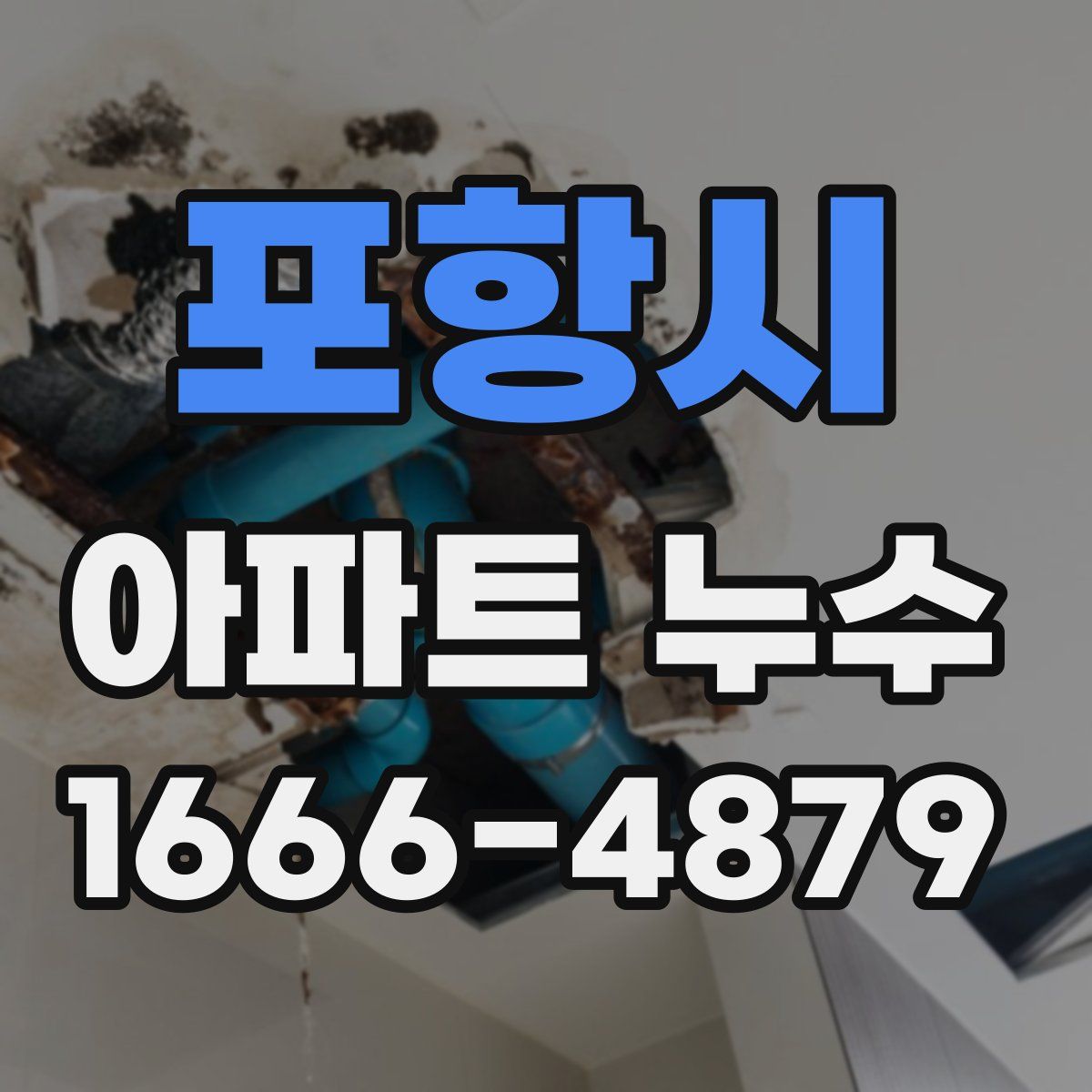 포항시 아파트 누수
