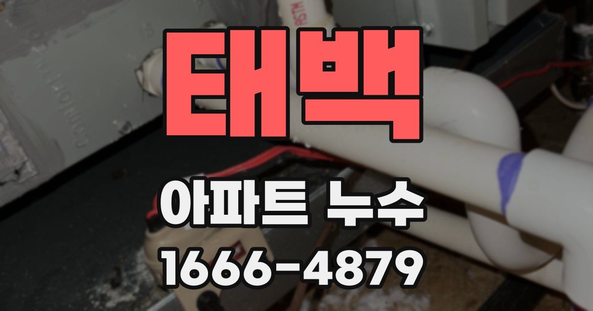 태백 아파트 누수