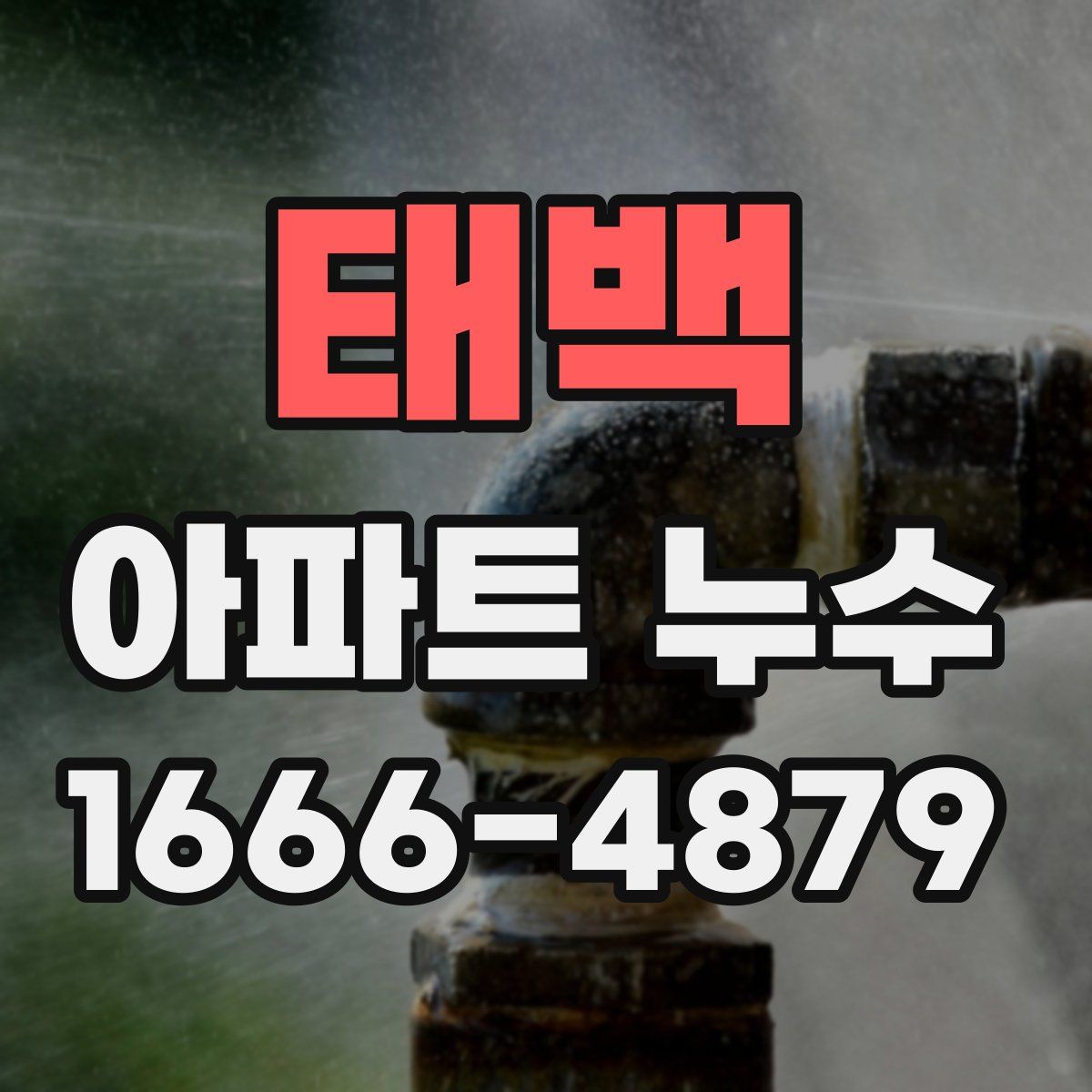 태백 아파트 누수