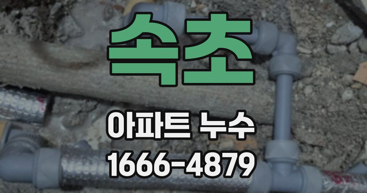 속초 아파트 누수