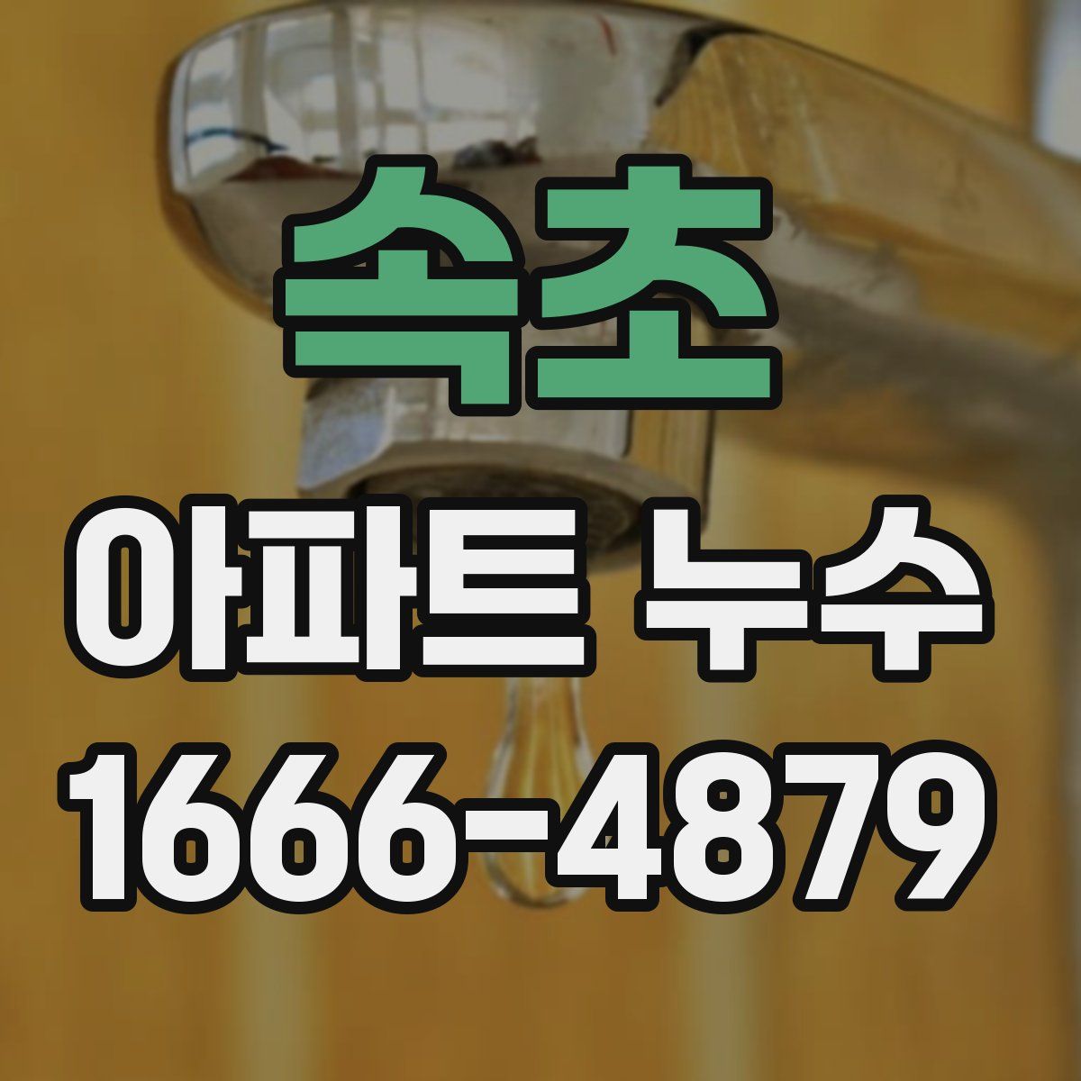 속초 아파트 누수
