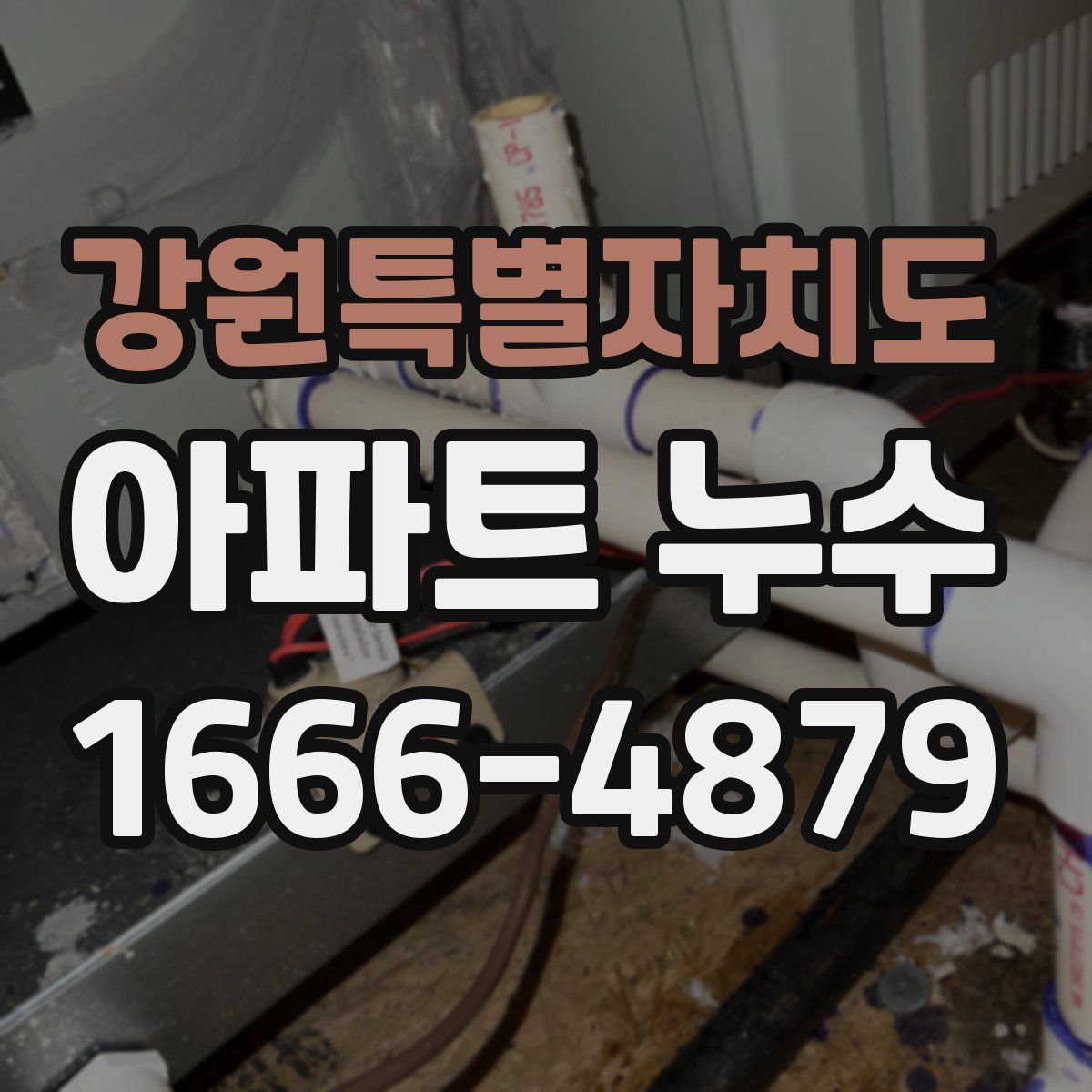 강원특별자치도 아파트 누수