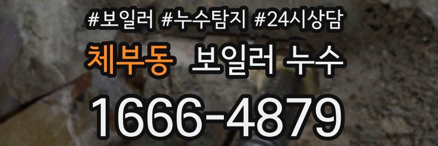 체부동 누수탐지