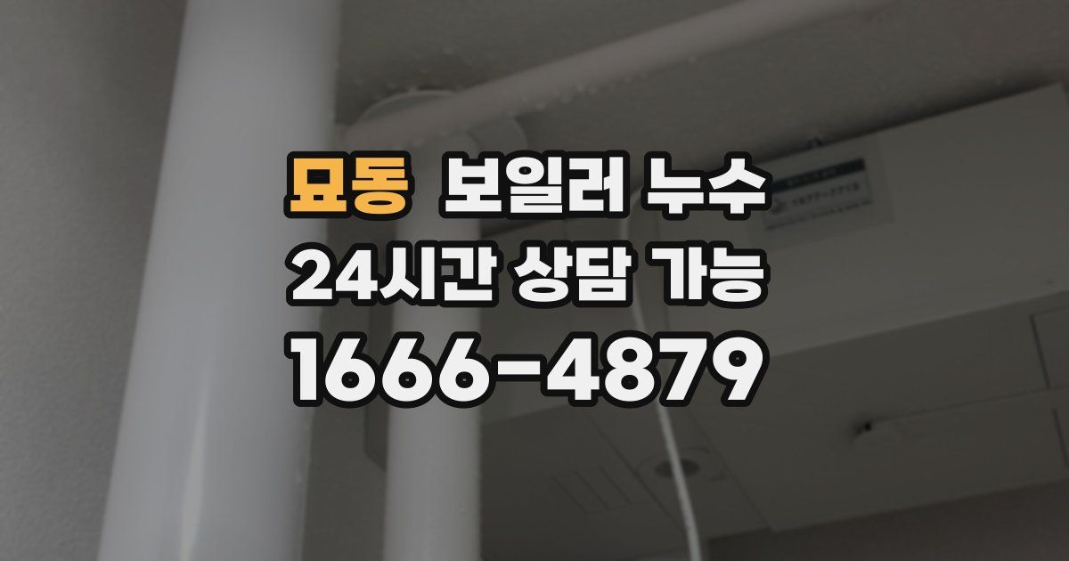 묘동 보일러 누수