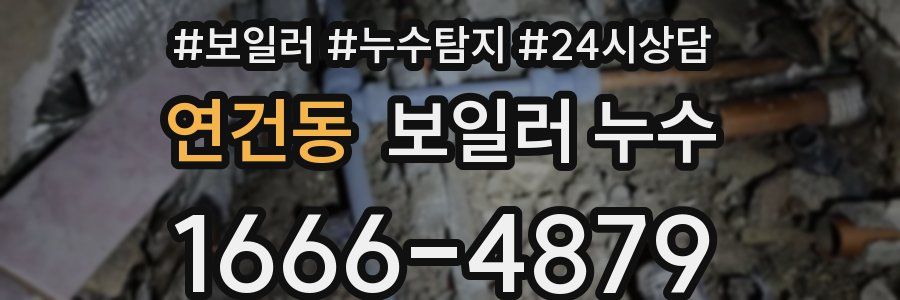 연건동 누수탐지
