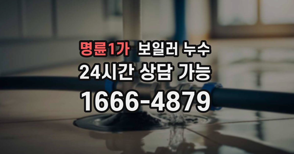 명륜1가 보일러 누수