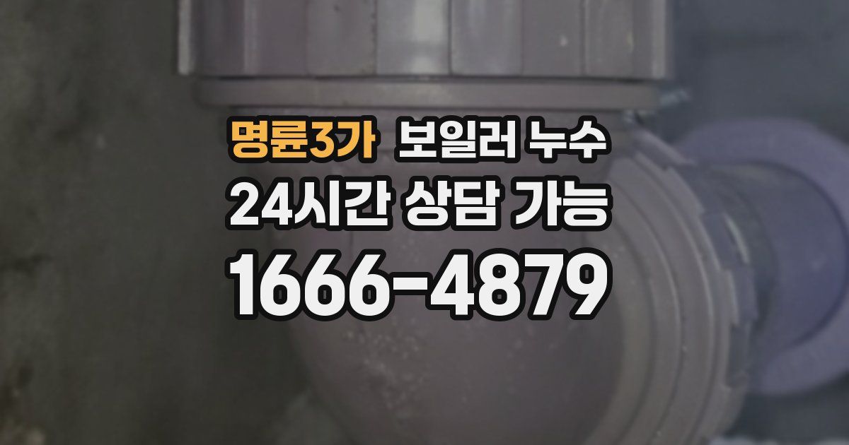 명륜3가 보일러 누수