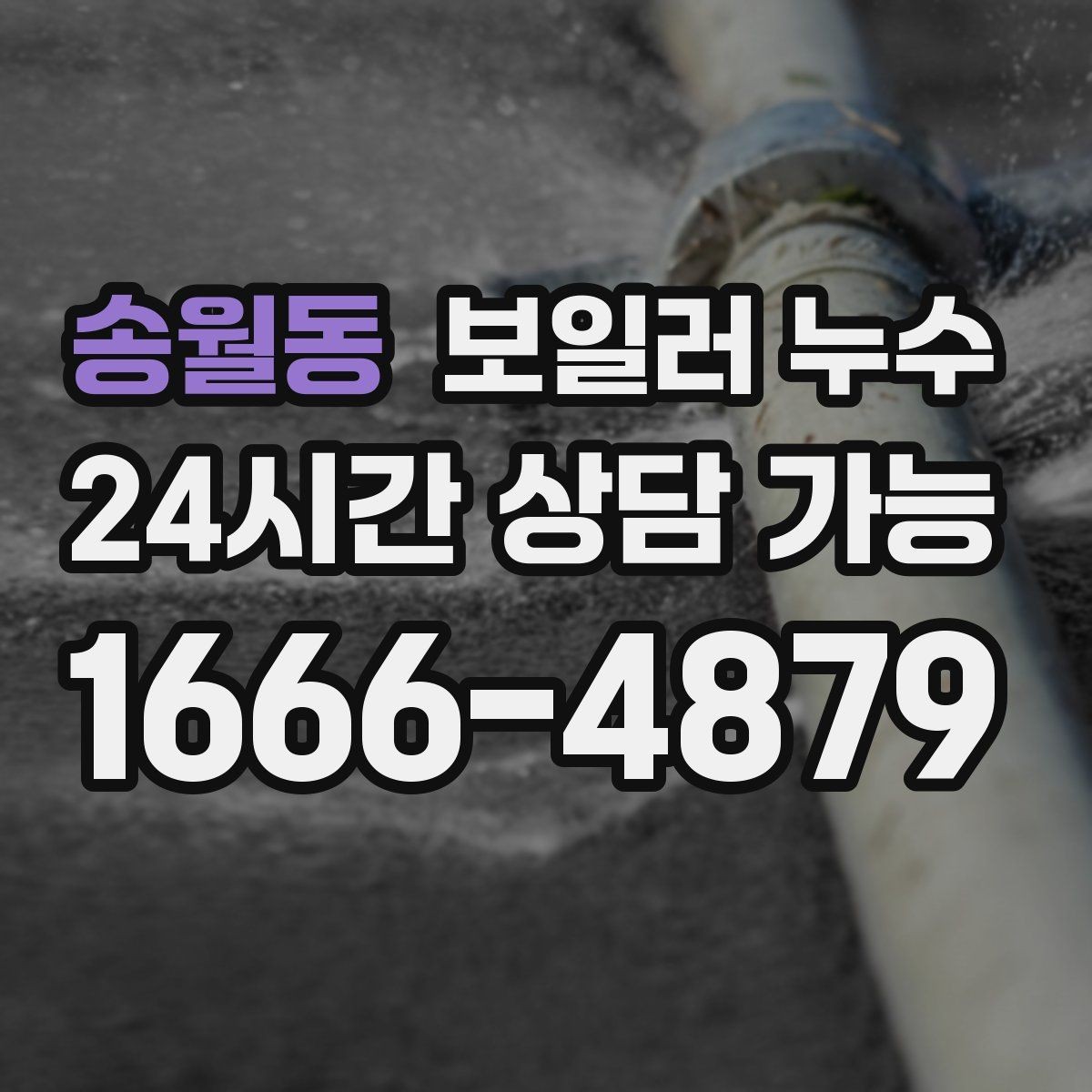 송월동 보일러 누수 바닥 변색이 먼저 나타나는 경우