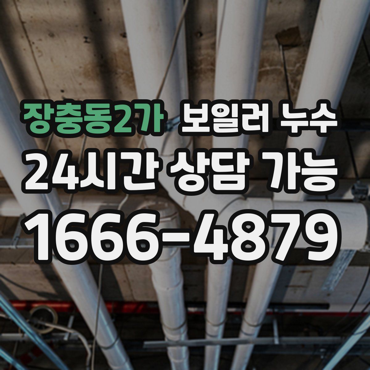 장충동2가 누수