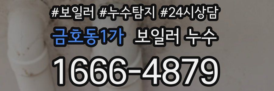 금호동1가 누수탐지