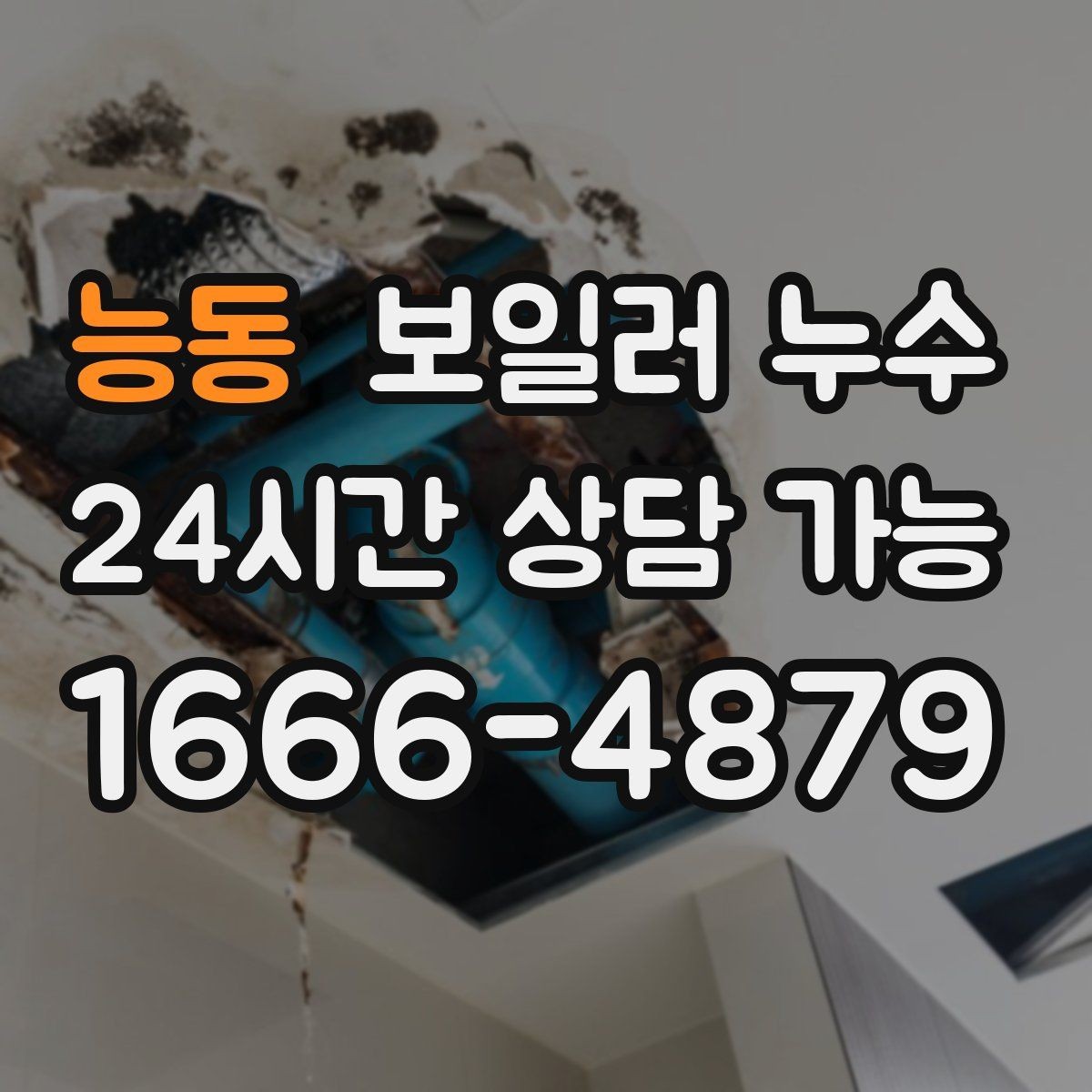 능동 보일러 누수 원인 확인 후 조치 순서 이렇게 잡으세요