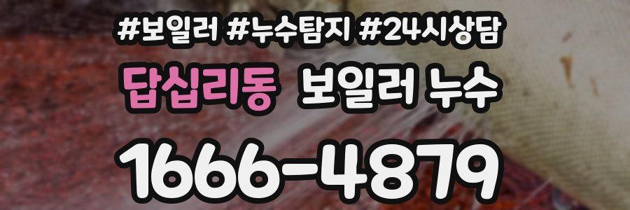 답십리동 누수탐지