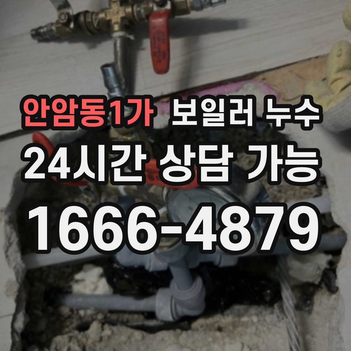 안암동1가 누수