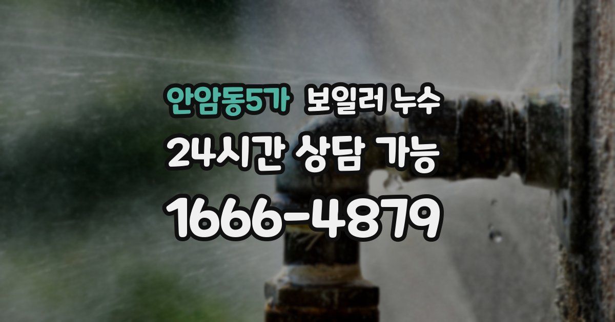 안암동5가 보일러 누수