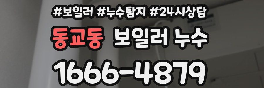 동교동 누수탐지