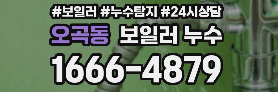 오곡동 누수탐지