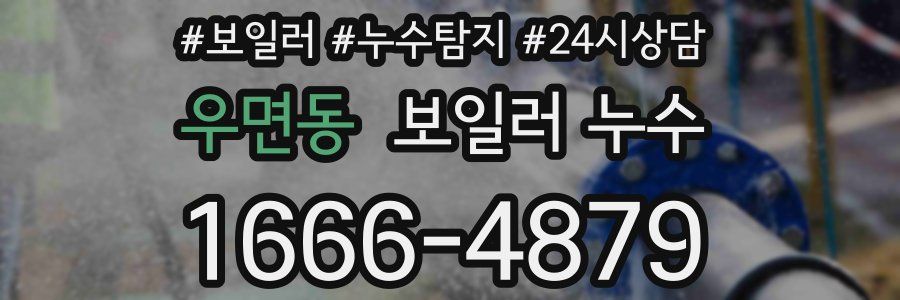 우면동 누수탐지