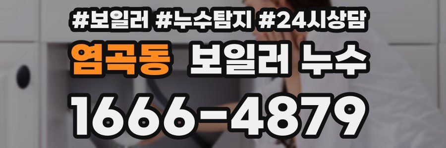 염곡동 누수탐지