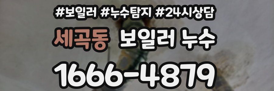 세곡동 누수탐지