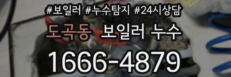 도곡동 누수탐지