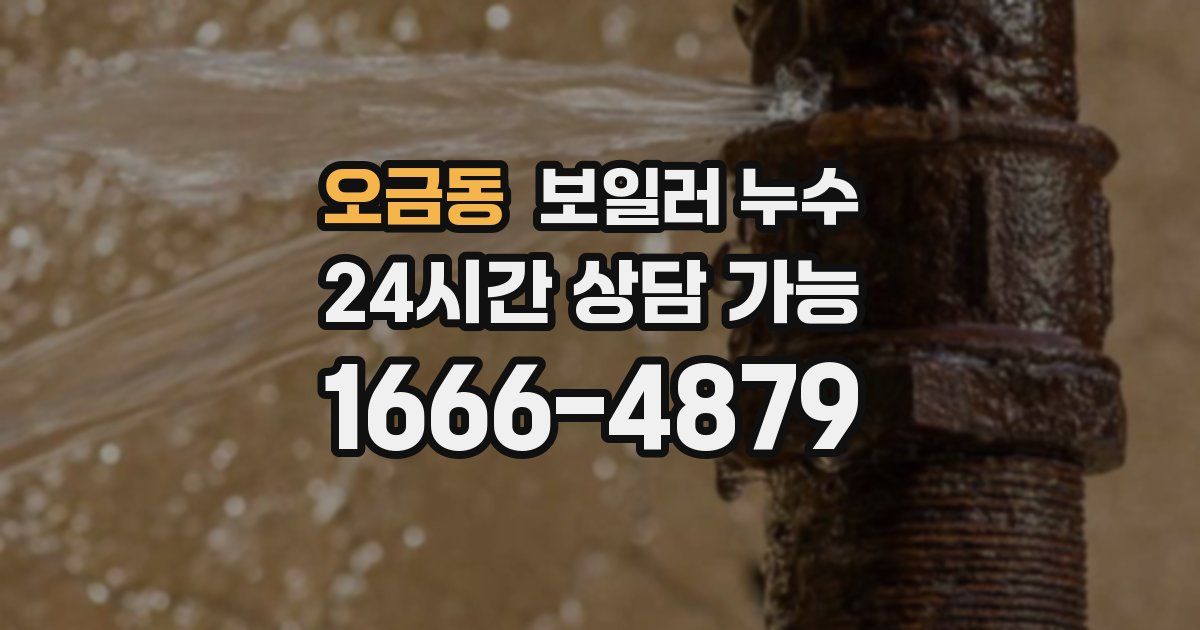 오금동 보일러 누수