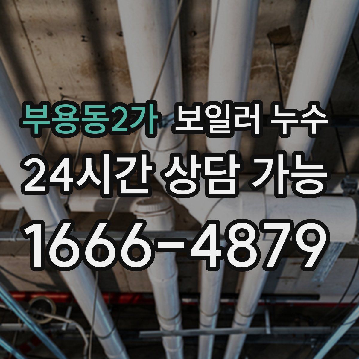 부용동2가 누수