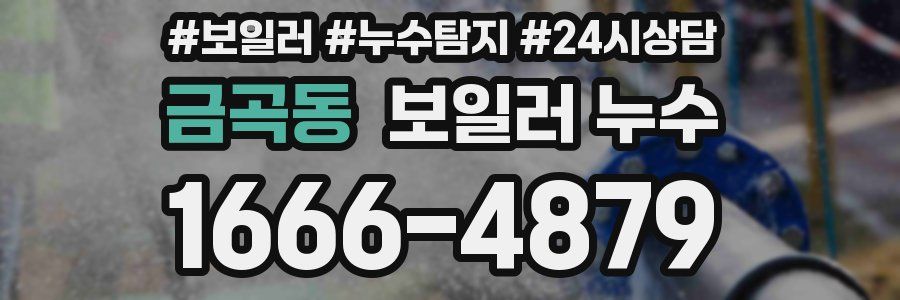 금곡동 누수탐지