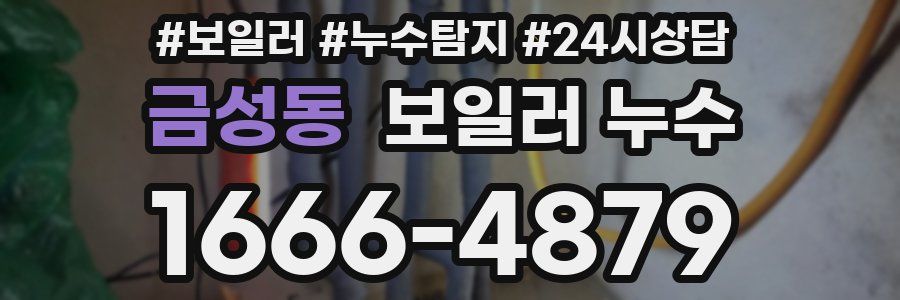 금성동 누수탐지