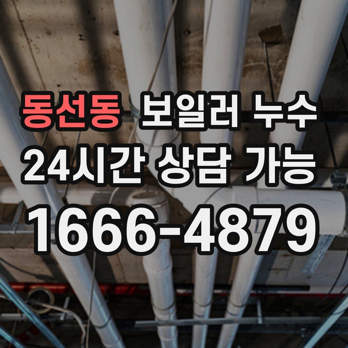동선동 보일러 누수 방만 젖는 경우 점검 포인트