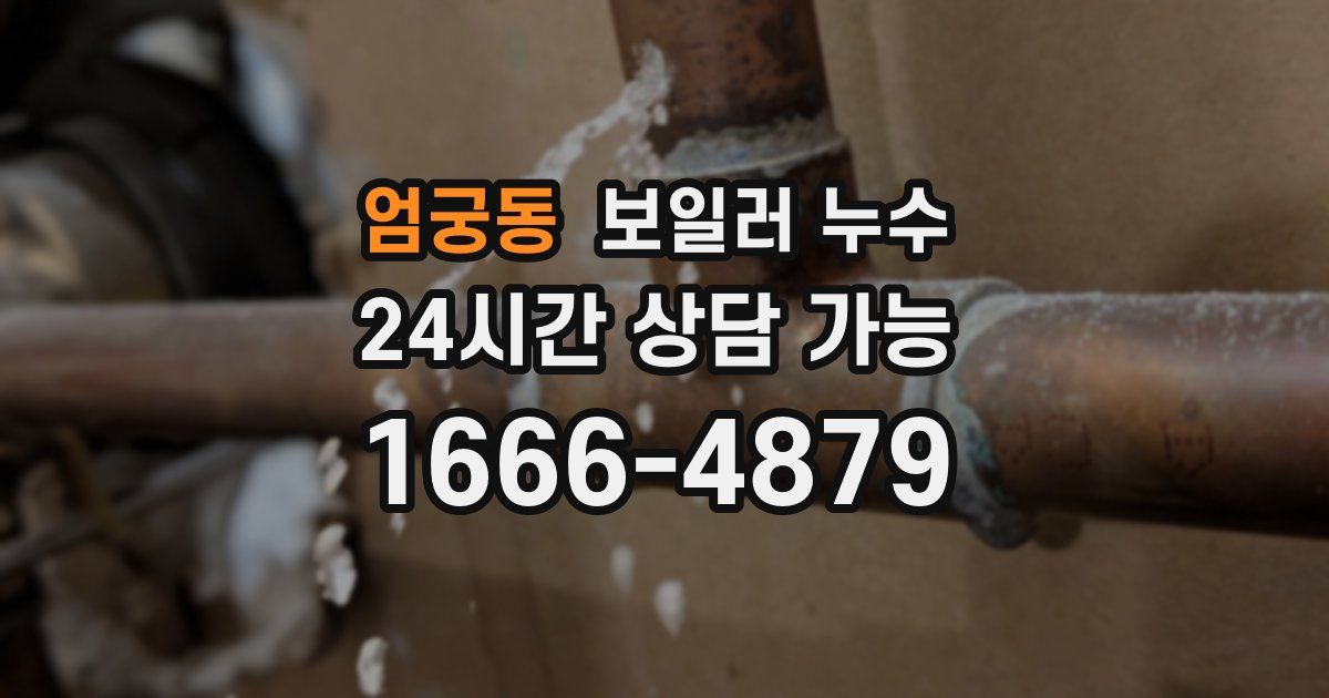 엄궁동 보일러 누수