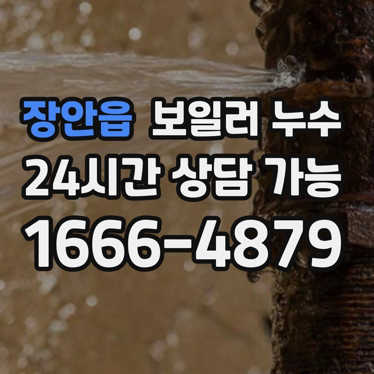 장안읍 보일러 누수 빠르게 확인하고 피해를 줄이는 현실적인 순서